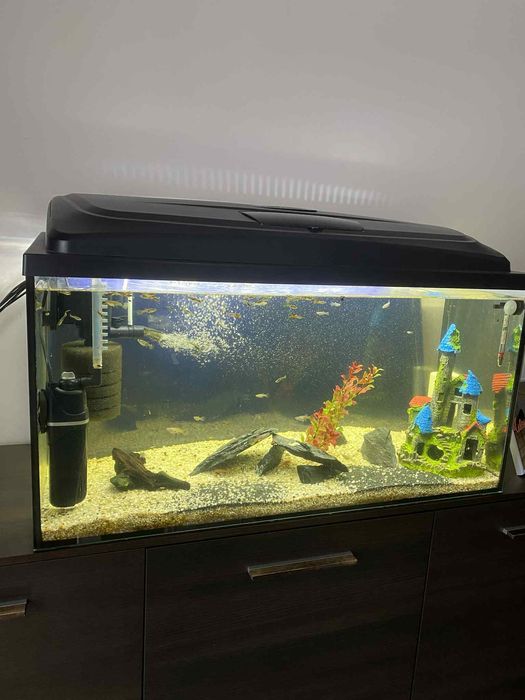 Sprzedam akwarium z wyposażeniem