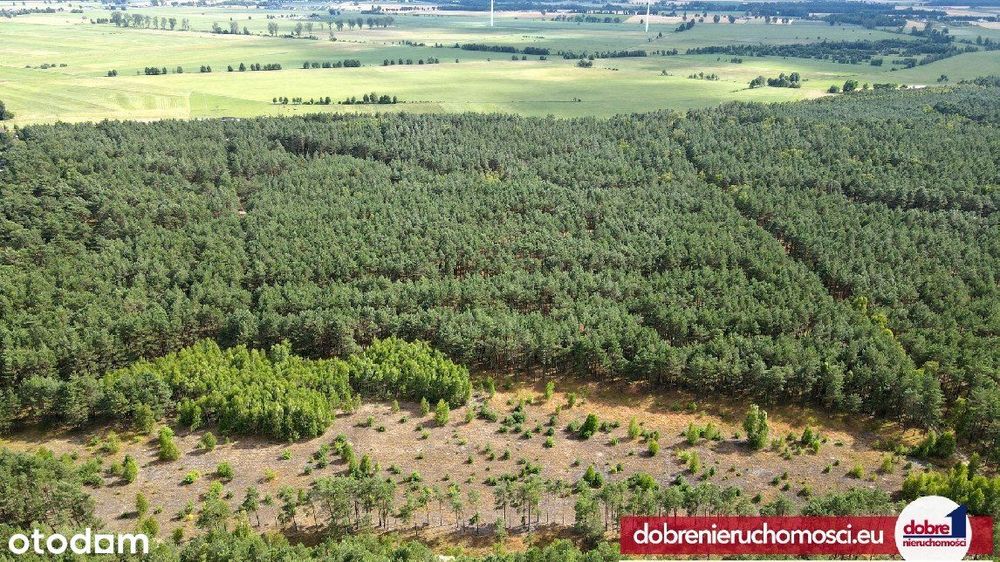 Działki budowlane w sercu natury – Januszkowo - Więcej