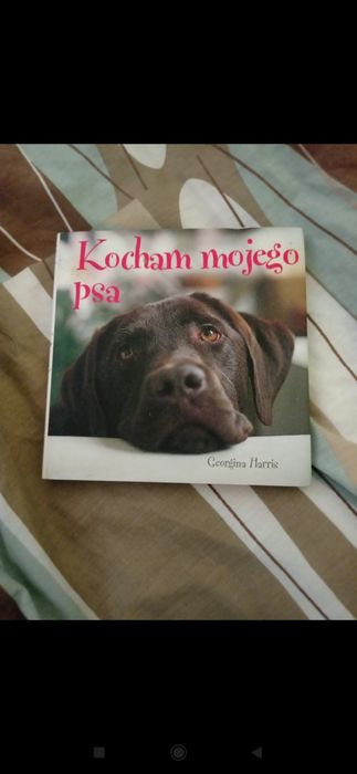 Kocham swojego psa książka dla dzieci