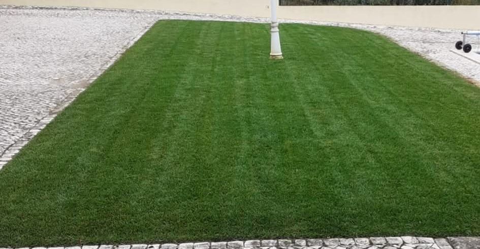 Jardineiro | Limpeza de Terrenos | Podas | Manutenção de Jardins