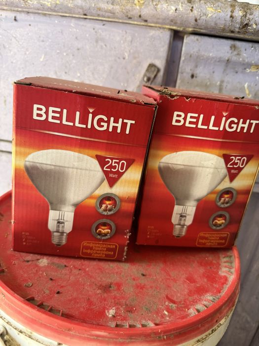 Żarówki grzewcze 250w
