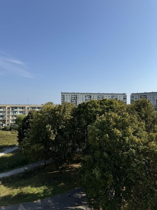 Zdjęcie 8