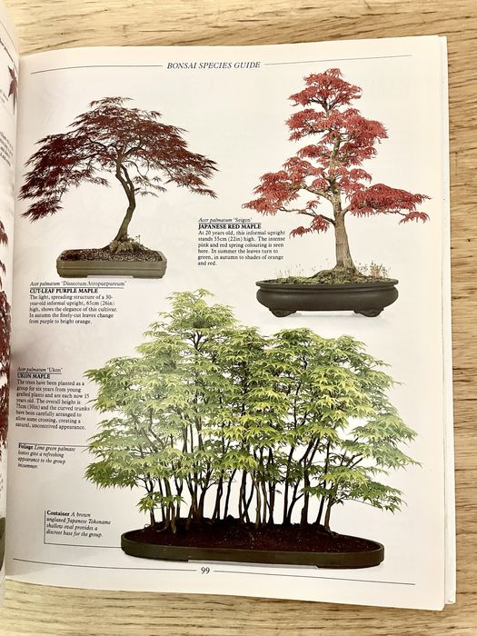 THE COMPLETE BOOK OF BONSAI