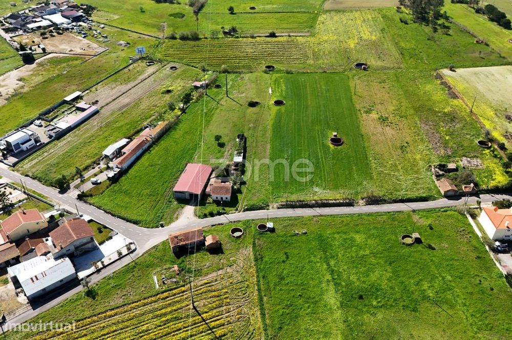 Terreno c/ Projeto Aprovado para Moradia T3 Térrea | Piscina | 1500m2