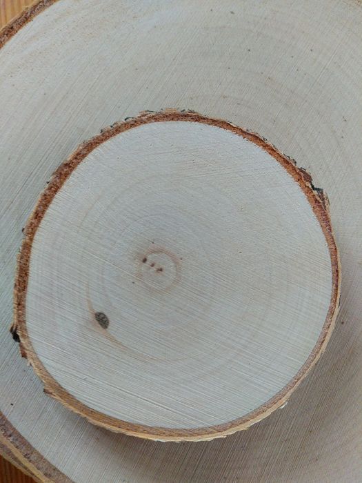 Plasterki drewna brzozowego krążki szlif ok 8 cm,