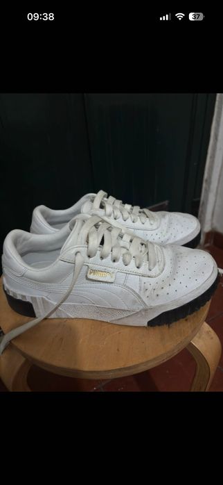 Puma em bom estado, negociável