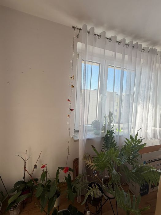 Firany z karniszami do ziemi na kółeczkach