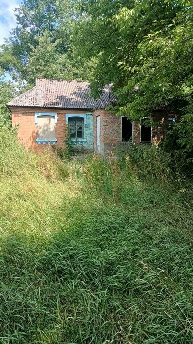 Продам будинок с.Дашківці (9842)