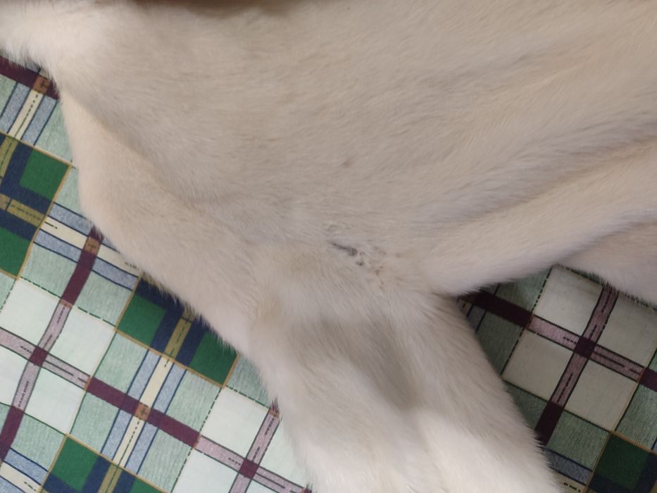 Продам норковую шубу