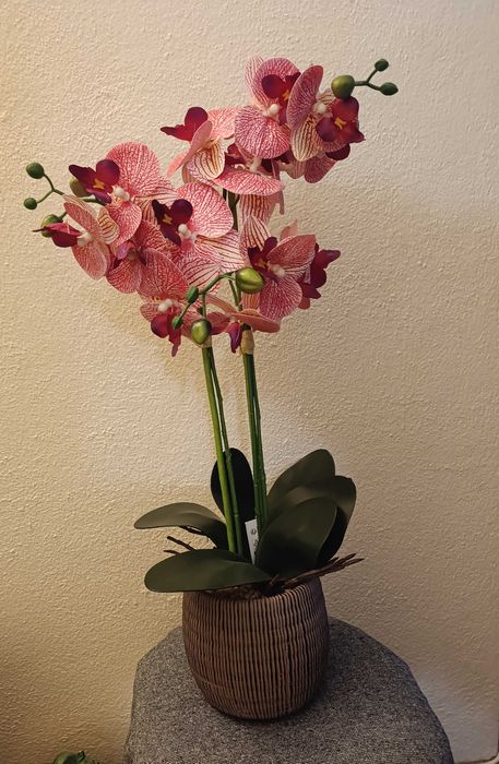 Orquídea artificial mas parece verdadeira