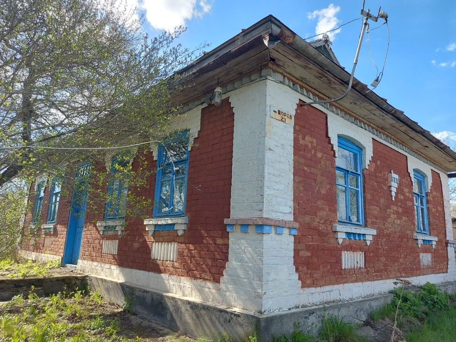 Будинок в Басаличівці