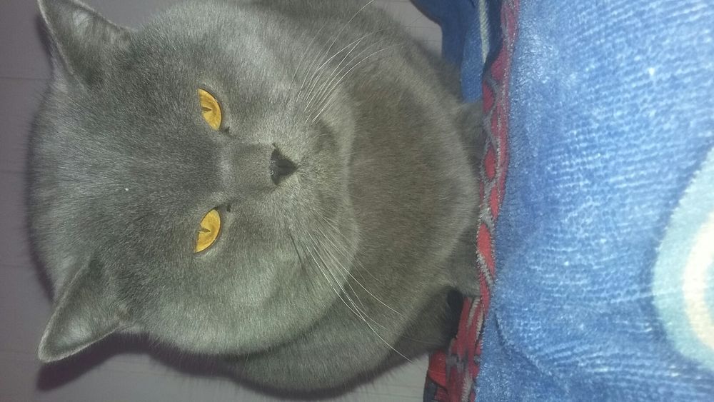 Приглашаем на вязку!!!