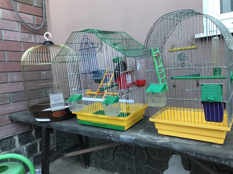 Клітка для пташок