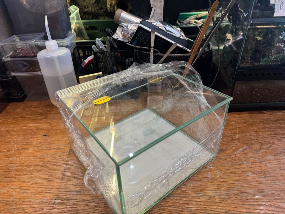 Terrarium otwierane od góry 25x25x15 - sklep terrarystyczny ANIMALE