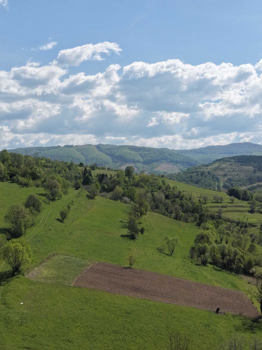 ДІЛЯНКА З ПАНОРАМОЮ НА КАРПАТИ