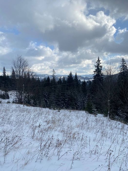 Продається земельна ділянка в Карпатах в лісі з струмком