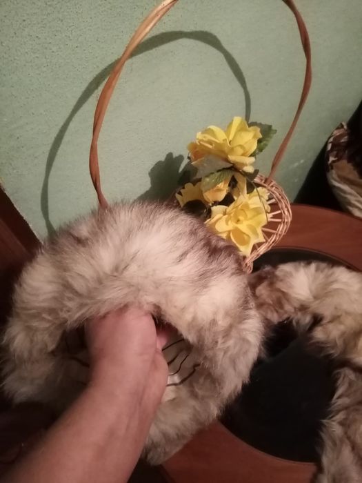 Komplet z lisa z lat 70 PRL