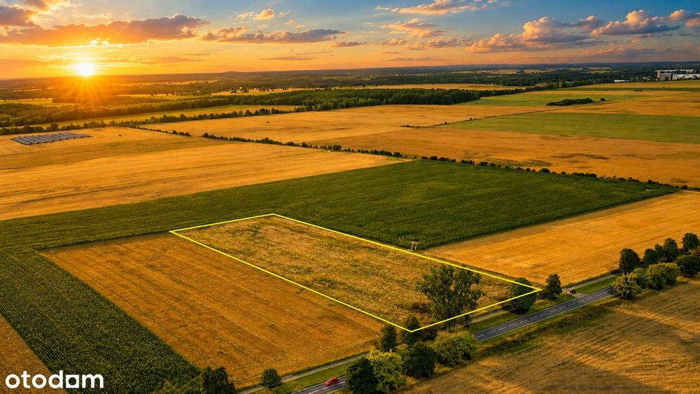 Działka inwestycyjna 8100 m² | WZ do 24 domów | Chociule - Widok 5