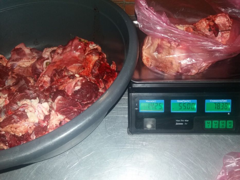 мясо телятина для собак