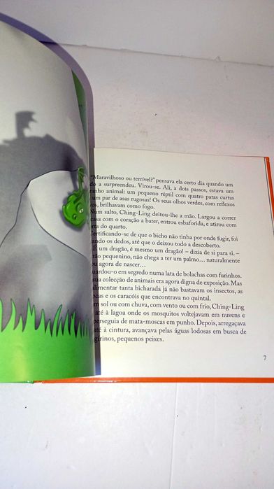 O Dragão - Luísa Ducla Soares