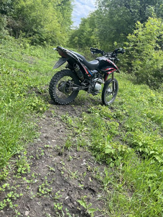 Мото на документах ViperV250L