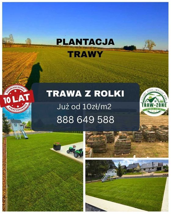 Trawa w rolce *Premium - PLANTACJA