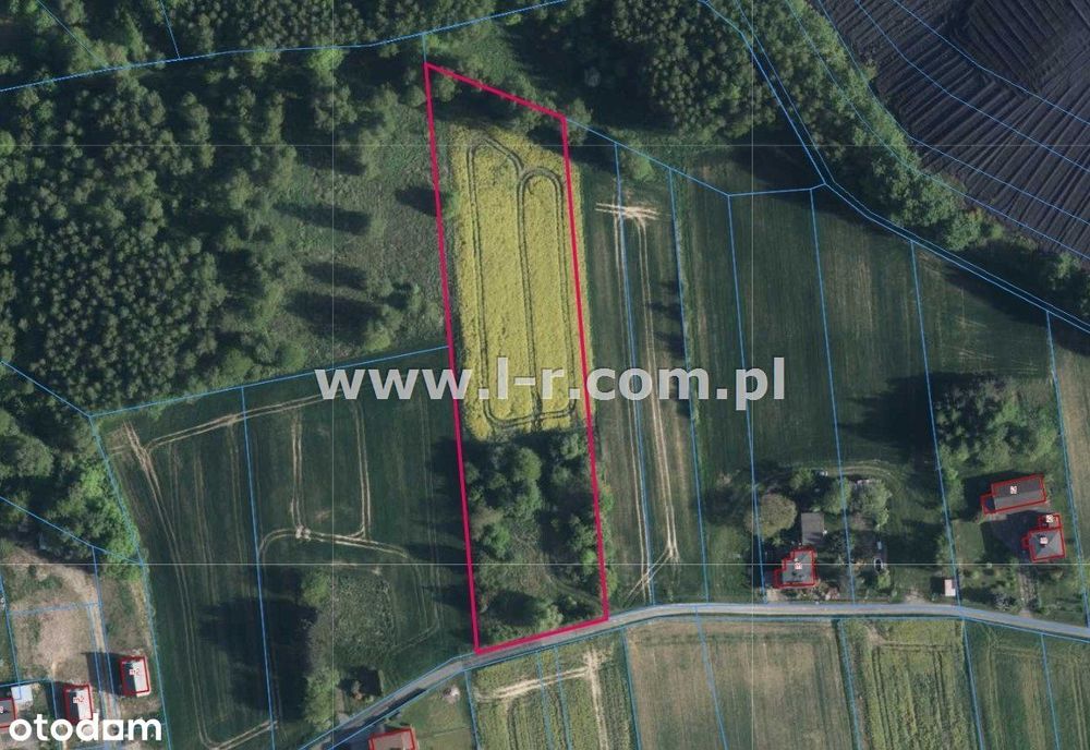 Atrakcyjna Działka W Sąsiedztwie Lasu - Widok 4