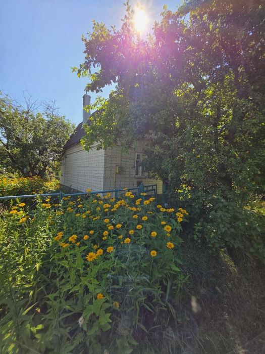 Продаж дачі Нова Українка