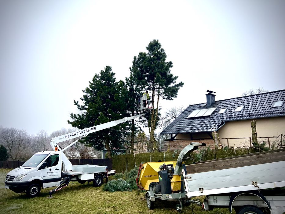 Wycinka drzew, krzaków, podcinanie drzew z podnośnika