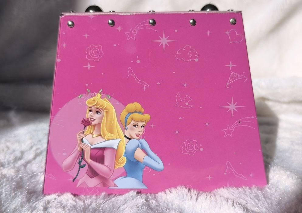 Алюмінієвий бокс Disney Princess