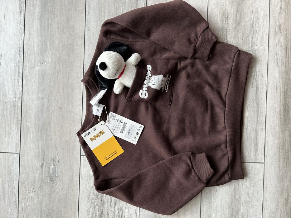Brązowa ocieplana bluza dla chłopca Zara r.116 Snoopy z pluszakiem
