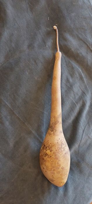 Cabaça natural  forma alongada