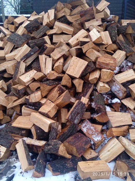 Olcha i sosna dziabana