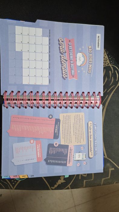 Agenda 2026 mr.wonderfull