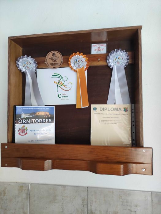 Canários llarguet espanhol premiados 2022