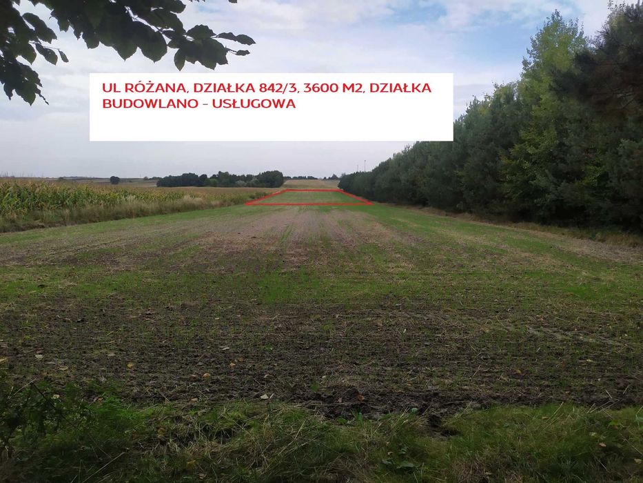 Działka Budowlano Usługowa 36 AR, Urzędów, ul. Różana, Bez Sąsiadów, przy lesie - Widok 3