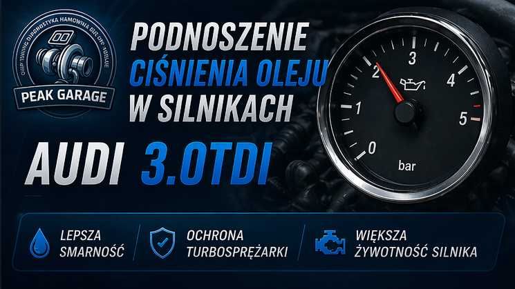 Chip Tuning Hamownia Diagnostyka Serwis DPF EGR AdBlue