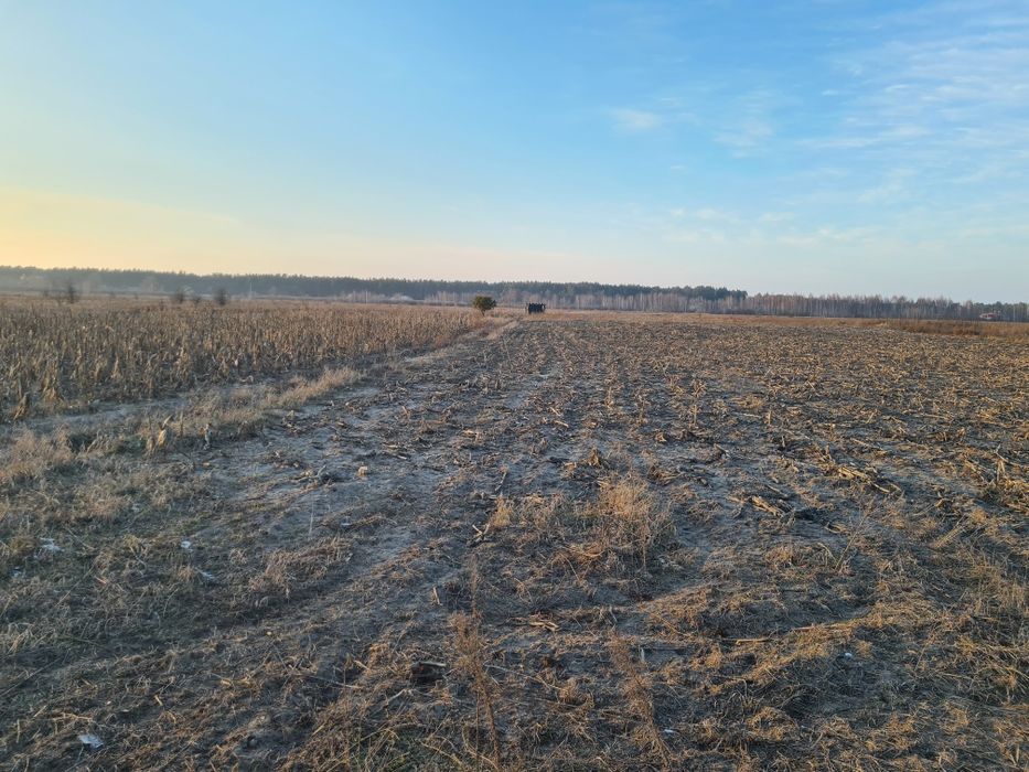 Оренда землі, 2,15га, с.Вища Дубечня,  під ягоди, овочі, теплиці, сад