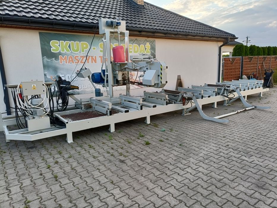 Trak taśmowy lignuma szerokotnący