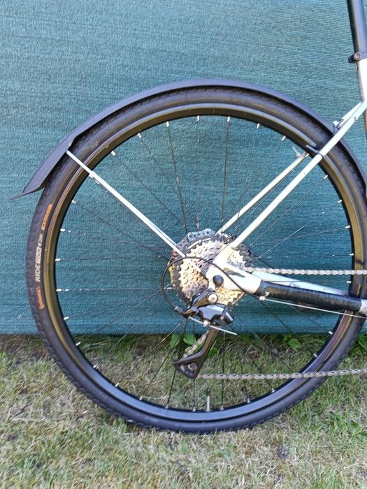 Marin Nicasio M 54cm