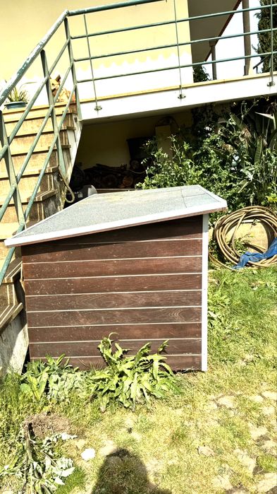 Casota em madeira para cães