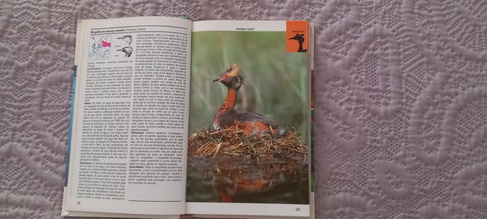 Aves Aquáticas - Frieder Sauer