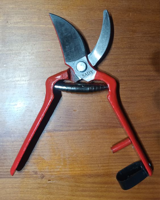 Tesouras e serrotes para podar.