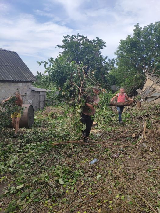 Уборка участка, территории. Демонтаж. Земляные работы. Вывоз мусора