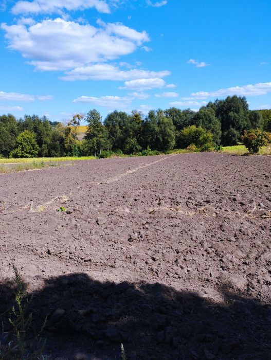 Продаю будинок в селі Северинівка Таращанського району