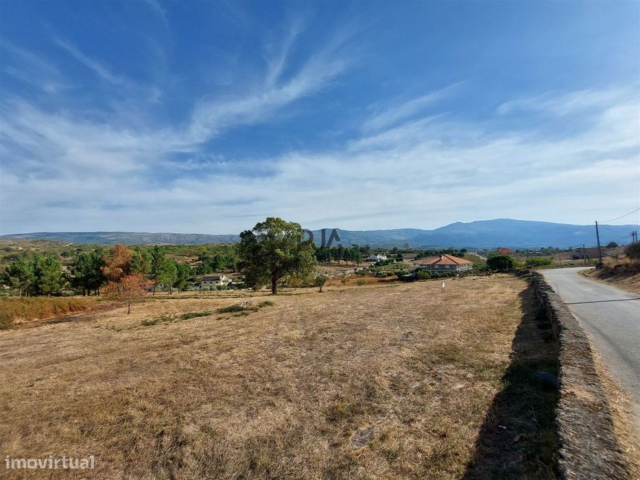 Terreno com viabilidade construtiva em Vila Ruiva, Fornos de Algodres