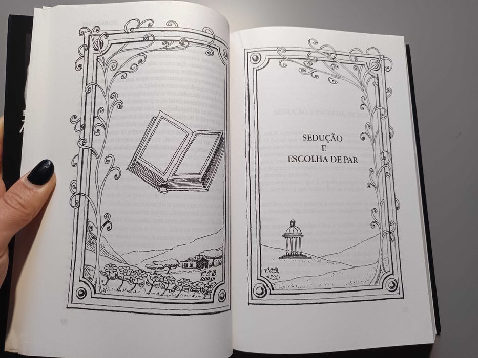 Cara Metade – O Casamento Finalmente Correcto – Paula Bobone