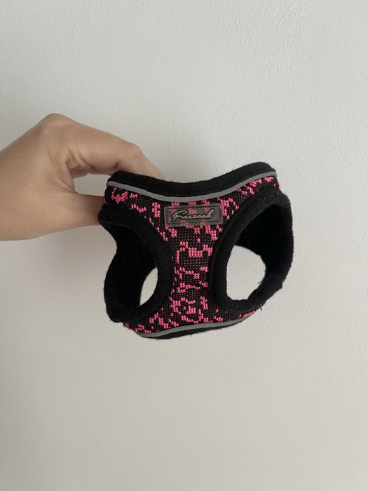 Шлейка для собаки вбо кота Freezack Soft Soi