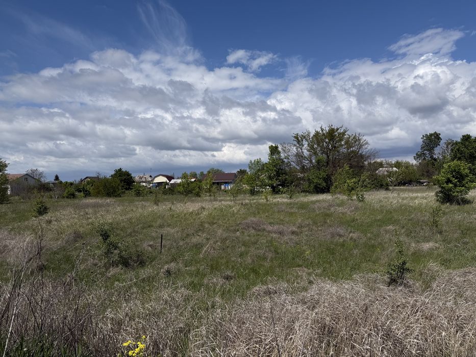 Продаж земельної ділянки в Кривушах, 16 соток