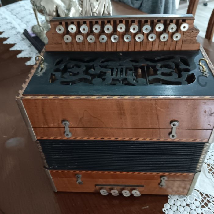 Concertina  para venda